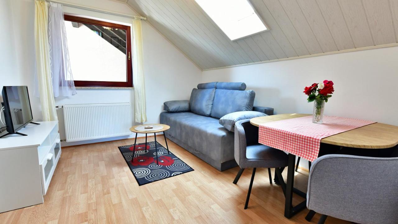 Guesthouse Ante Hodak Seliste Dreznicko Eksteriør billede